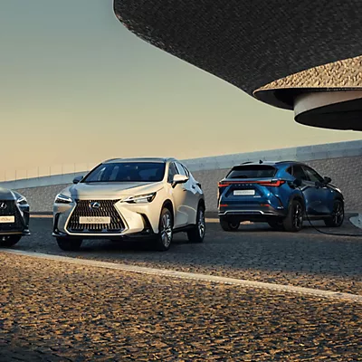 lexus özel servisi istanbul kağıthane
